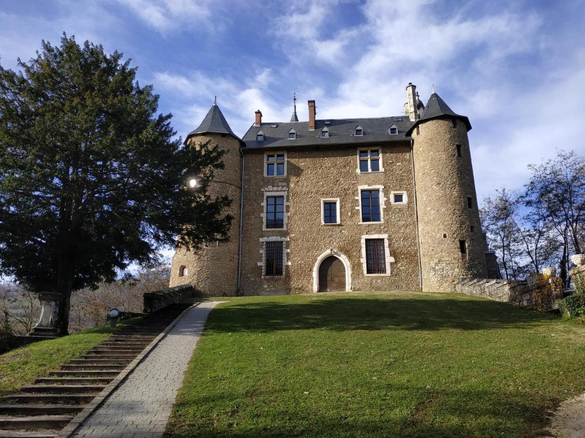 Appartement Chateau Uriage-Chamrousse Saint-Martin-dʼUriage المظهر الخارجي الصورة