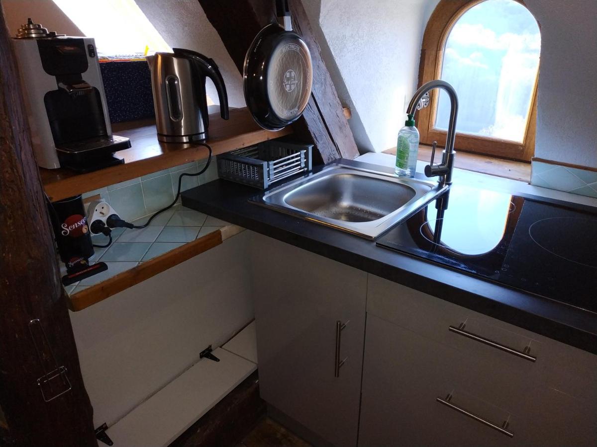 Appartement Chateau Uriage-Chamrousse Saint-Martin-dʼUriage المظهر الخارجي الصورة