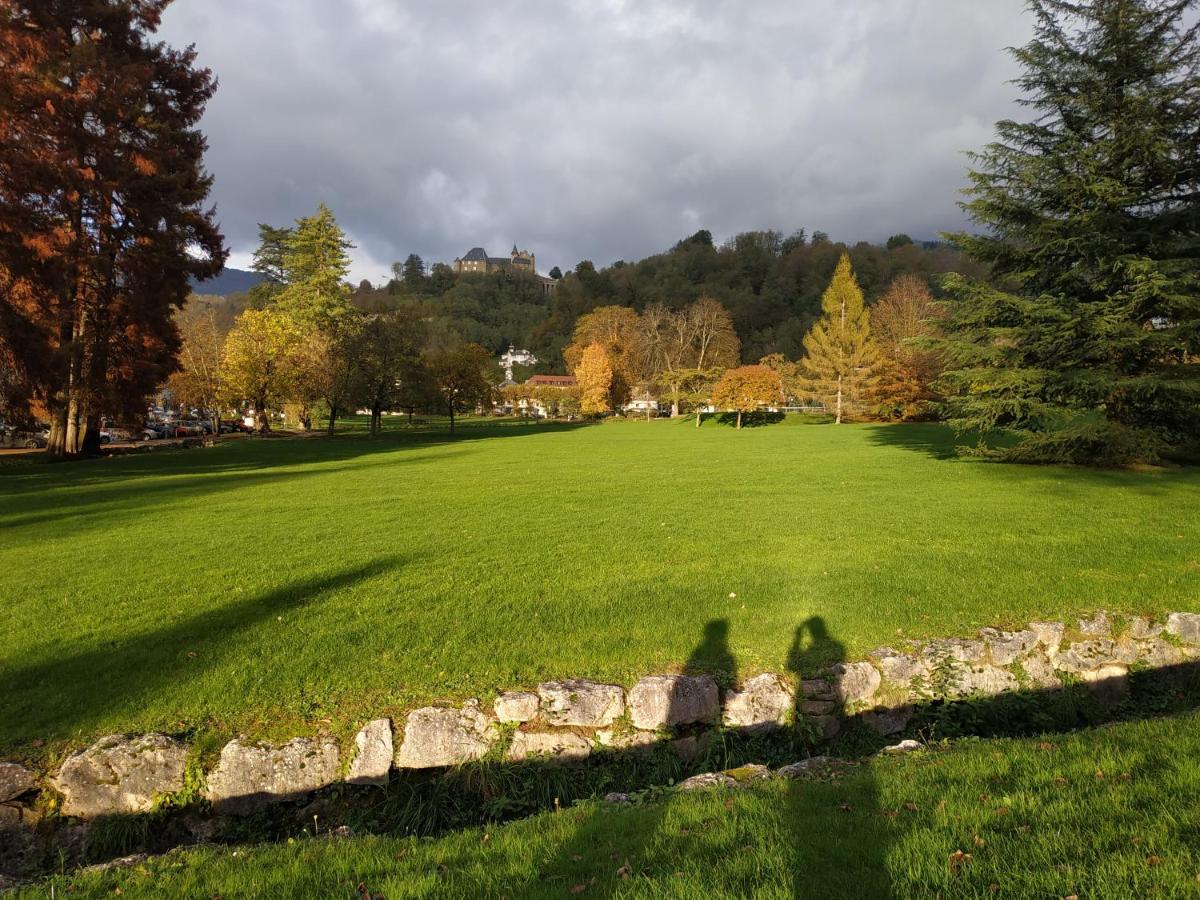 Appartement Chateau Uriage-Chamrousse Saint-Martin-dʼUriage المظهر الخارجي الصورة